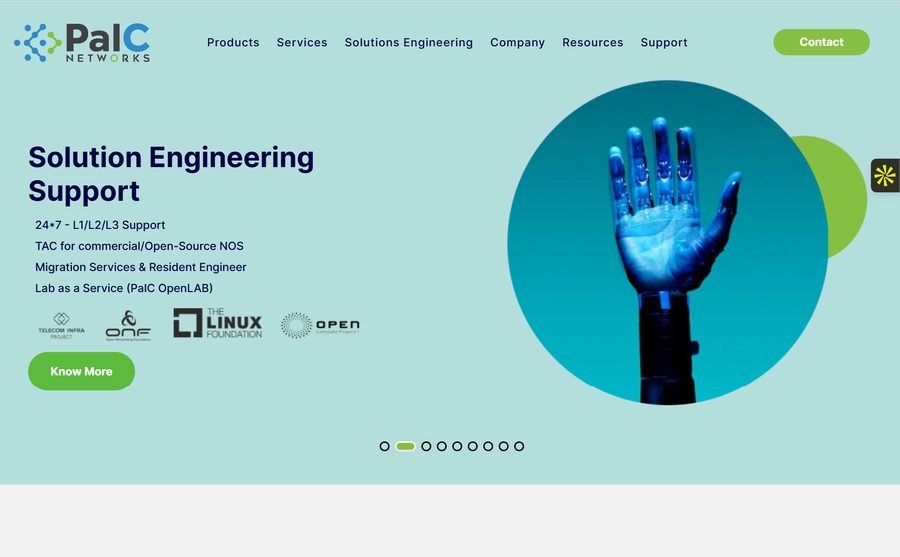 PalC Networks website — homepage