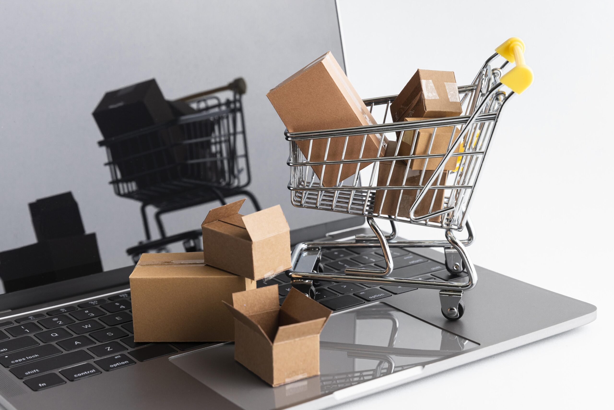 Ecommerce web development